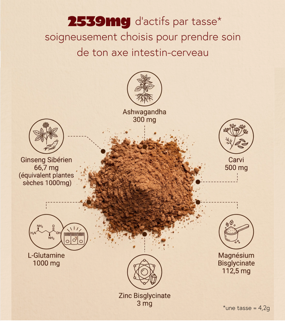 Choco noisette