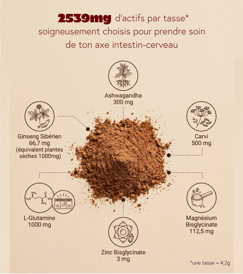 Choco noisette